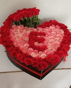 100 Red & 100 Pink Roses in Heart Shape